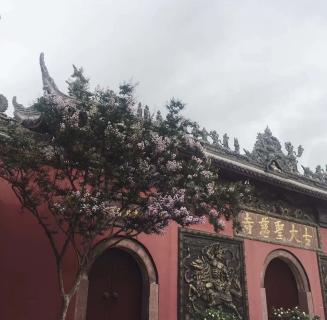 富联娱乐：助力公益活动建设，实现经济效益与社会效益的双赢！