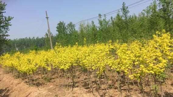 明光市市委书记被富联娱乐企业文化深深感动 | 深入沟通合作空间广阔