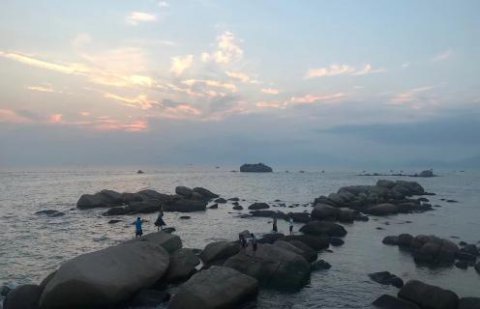 富联娱乐：新的经营模式应当立足在商业模式之上
